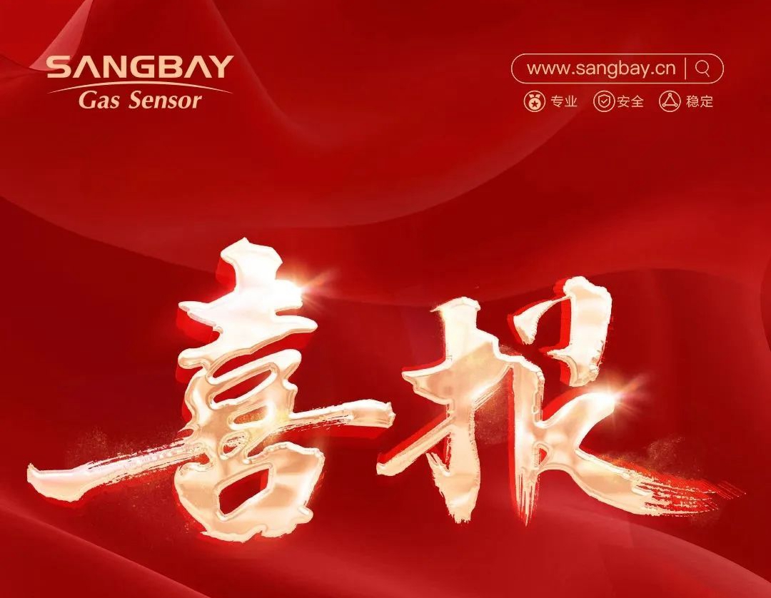 喜報(bào)｜上海松柏傳感獲評(píng)上海市專精特新中小企業(yè)，助力高質(zhì)量發(fā)展！