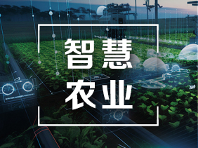 氣體傳感器在智慧農(nóng)業(yè)中的創(chuàng)新應用