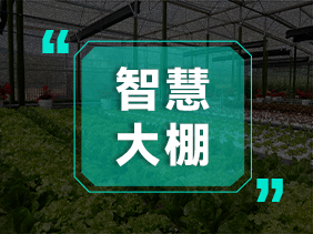 氣體傳感器助力智慧大棚 精準(zhǔn)監(jiān)測(cè) 高效種植